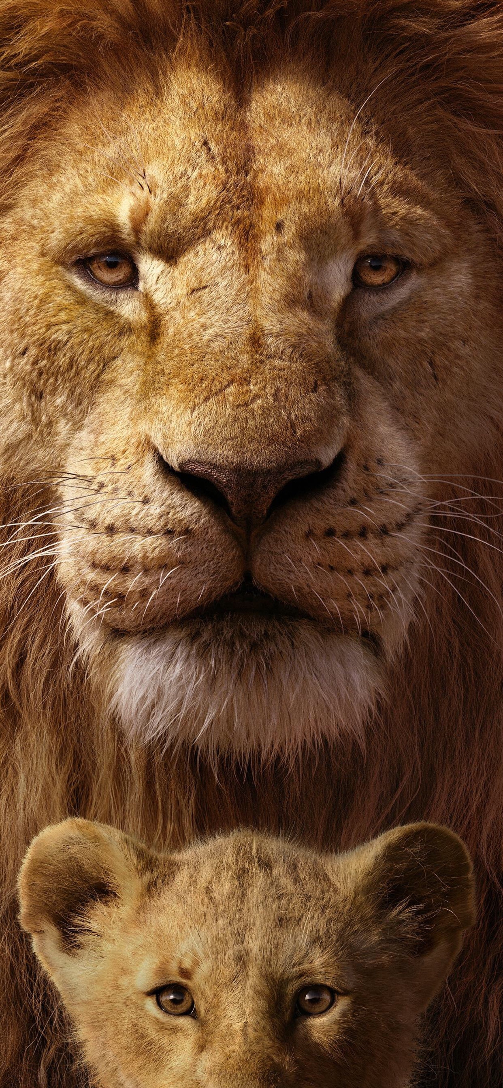 狮子王 