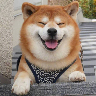 不经意拍到的最美的笑