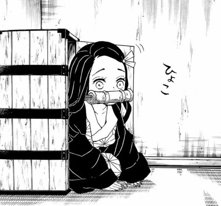 祢豆子