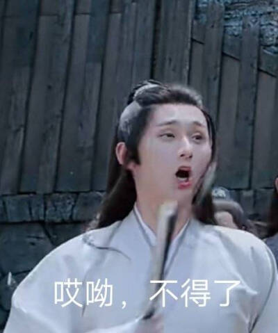 聂怀桑表情包