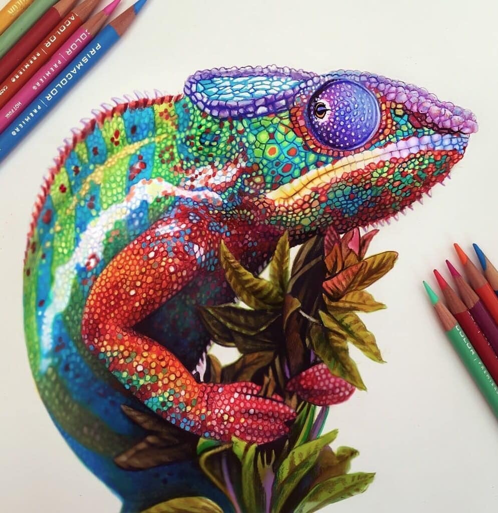 colorful world / by morgan davidson