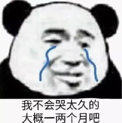 沙雕熊猫头