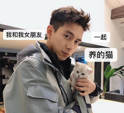李现表情包