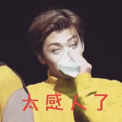 罗渽民 表情包