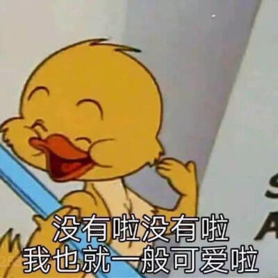 我想开了荷花