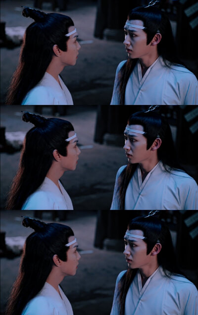 陈情令,蓝氏小双壁,思追景仪