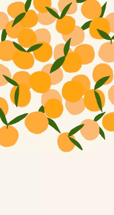 小清新 橘子壁纸