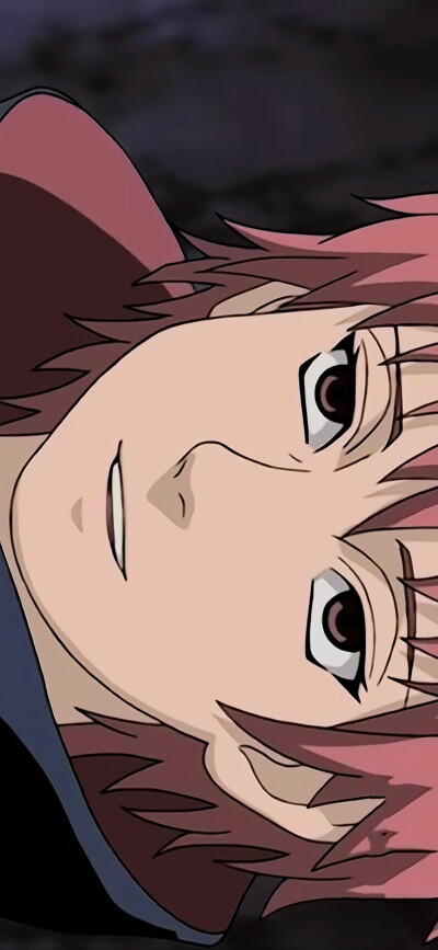 蝎