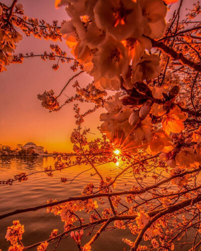 背景图风景好看