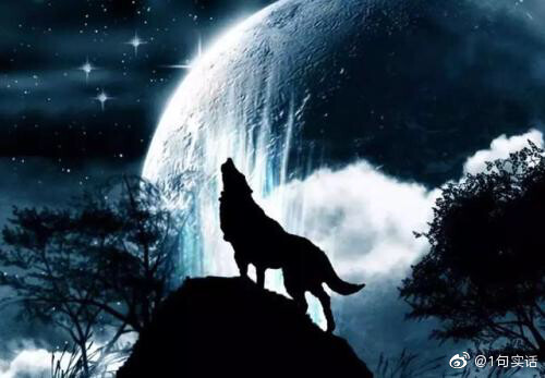 孤狼啸月孤狼望月图片图片