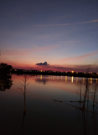 风景夜