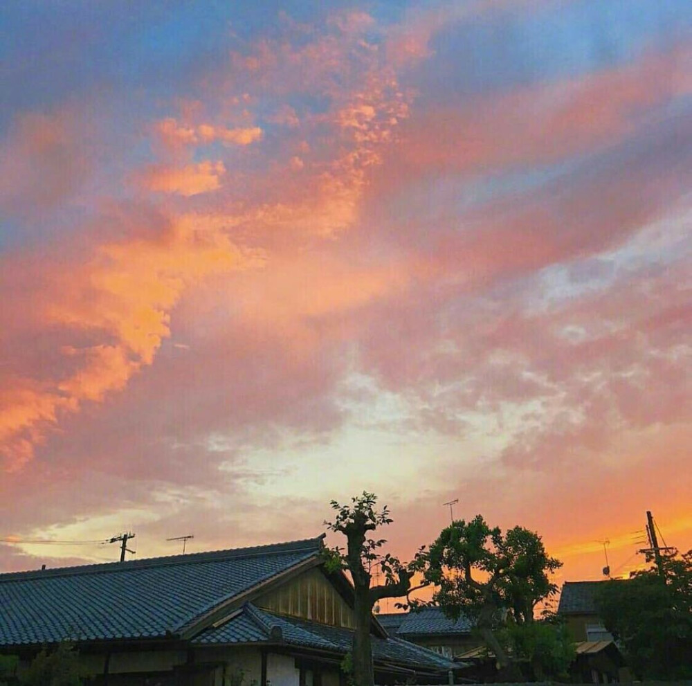 背景图/ins.干净