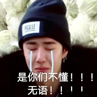 无语是你们不懂