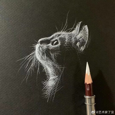 黑白 彩铅 素描 宠物 白描