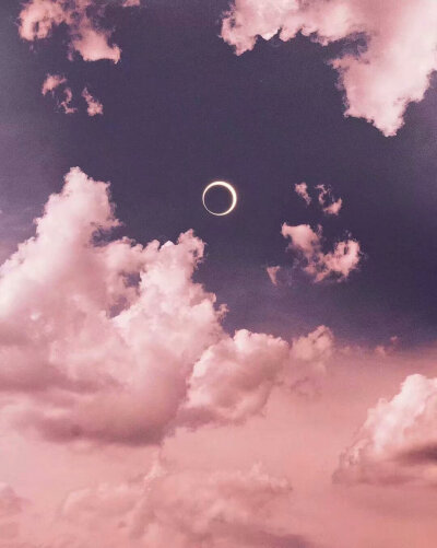 粉色月亮星星壁纸