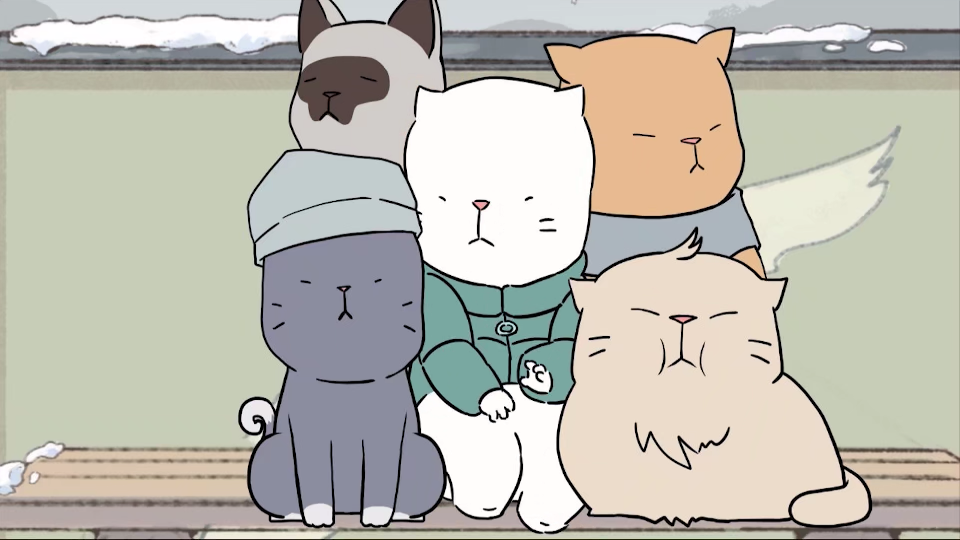 自截,我的邻居全是猫