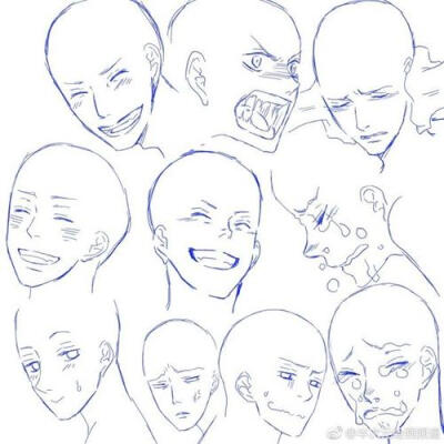 人体结构图动漫