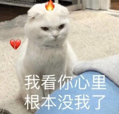 想你,老戴里都是你