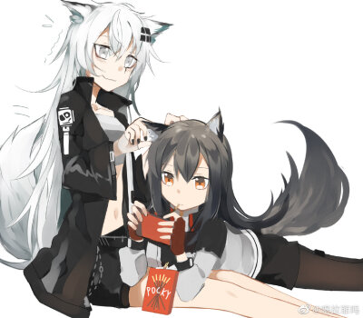 双狼明日方舟