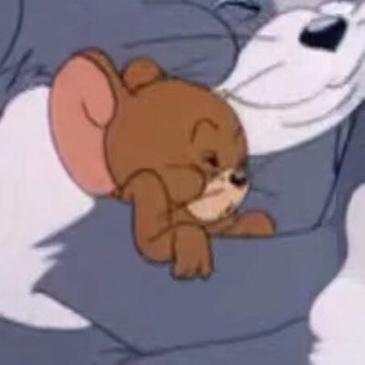 tom jerry