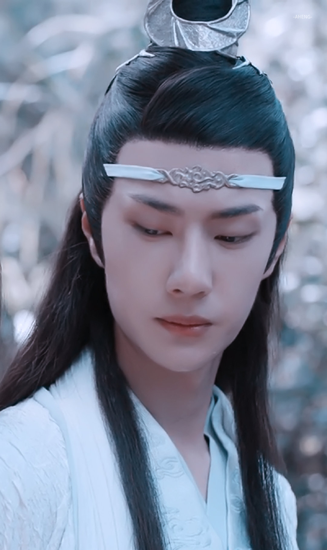 陈情令 蓝湛