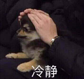金碳的表情包