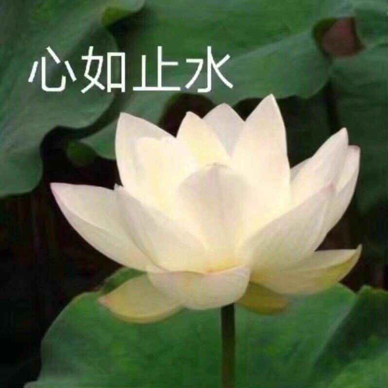 佛系头像