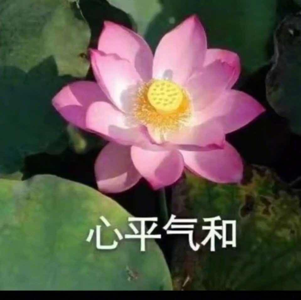 老年人佛系头像图片