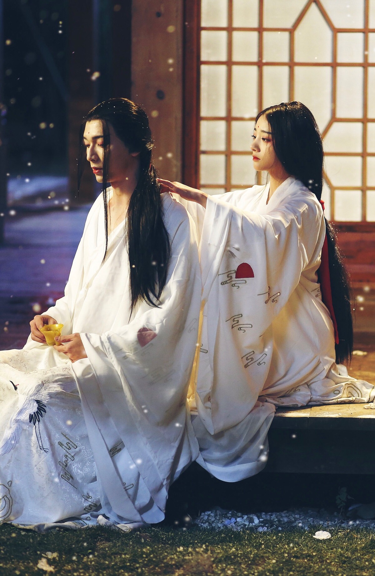美人如画隔云端