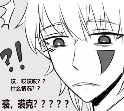 all裘