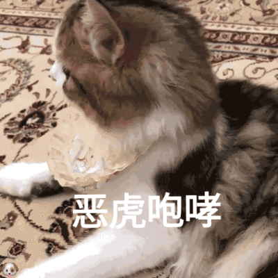可可爱爱没有脑袋