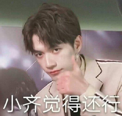 张颜齐表情包