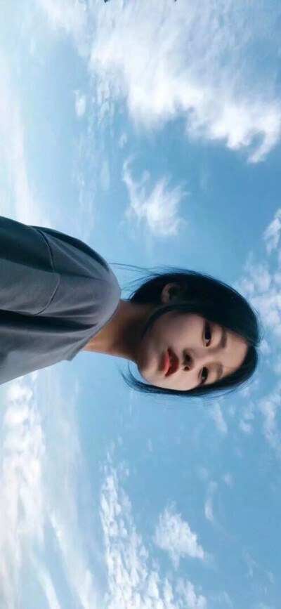 椰子树全屏壁纸