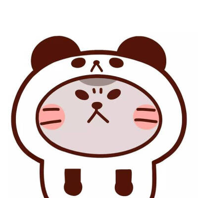 发财富贵猫头像 600x600(图片来自网络)