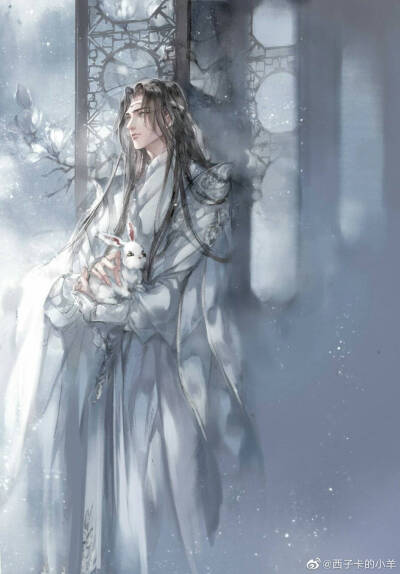 魔道祖师,蓝忘机