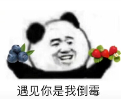 这是蓝莓 这是草莓 遇见你是我倒霉