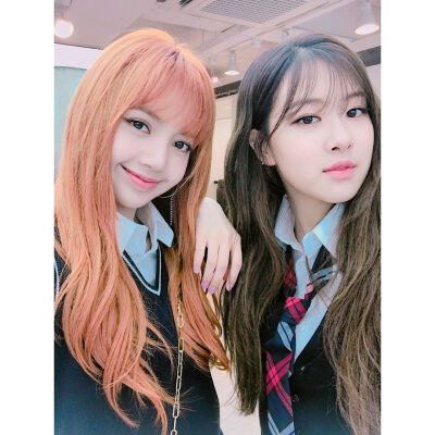 朴彩英/lisa/五花肉