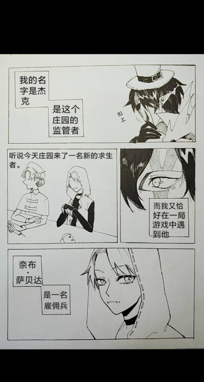 白纹x刺客