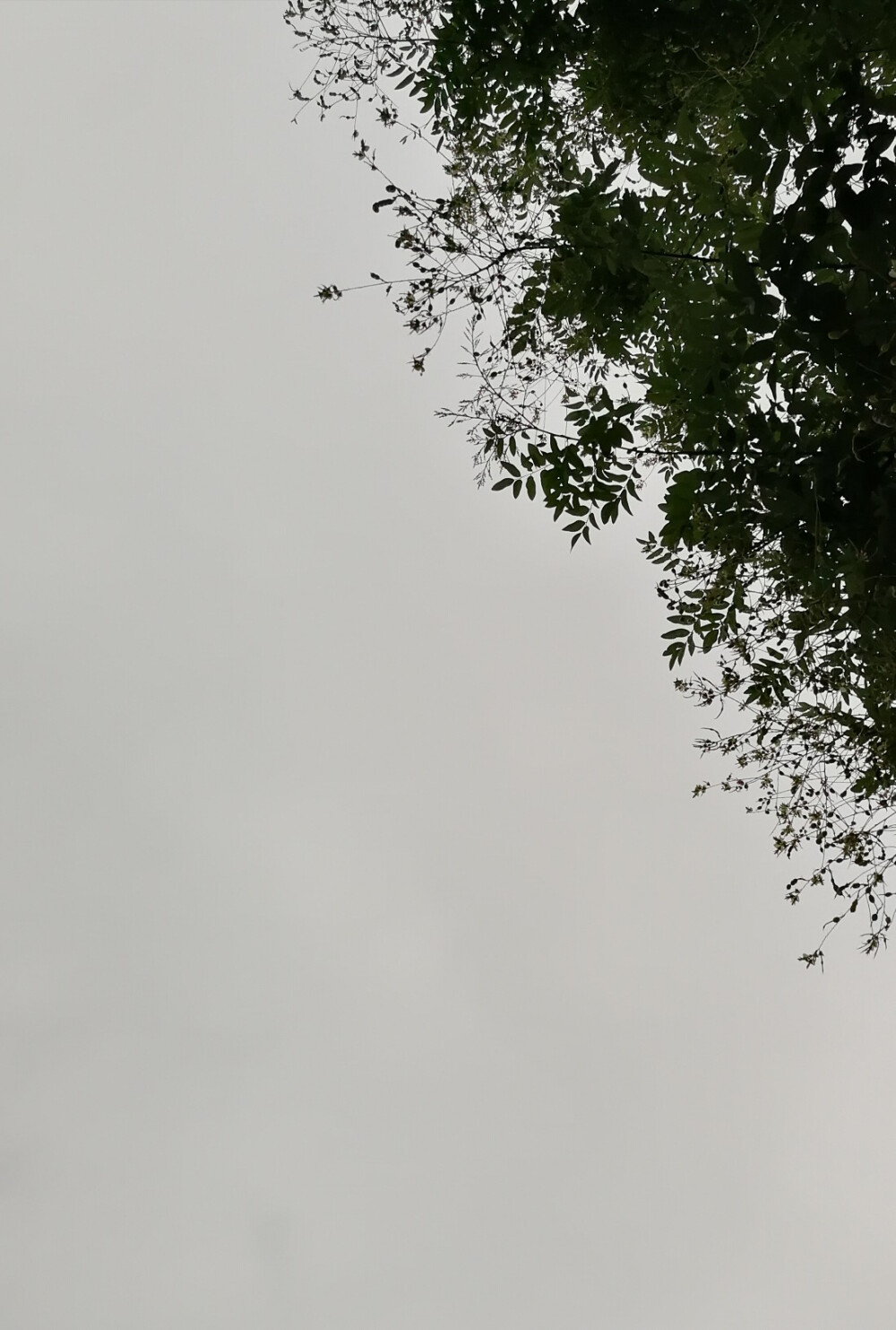 阴天- 堆糖,美图壁纸兴趣社区