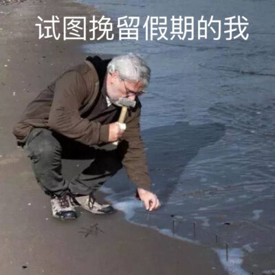 沙雕表情包