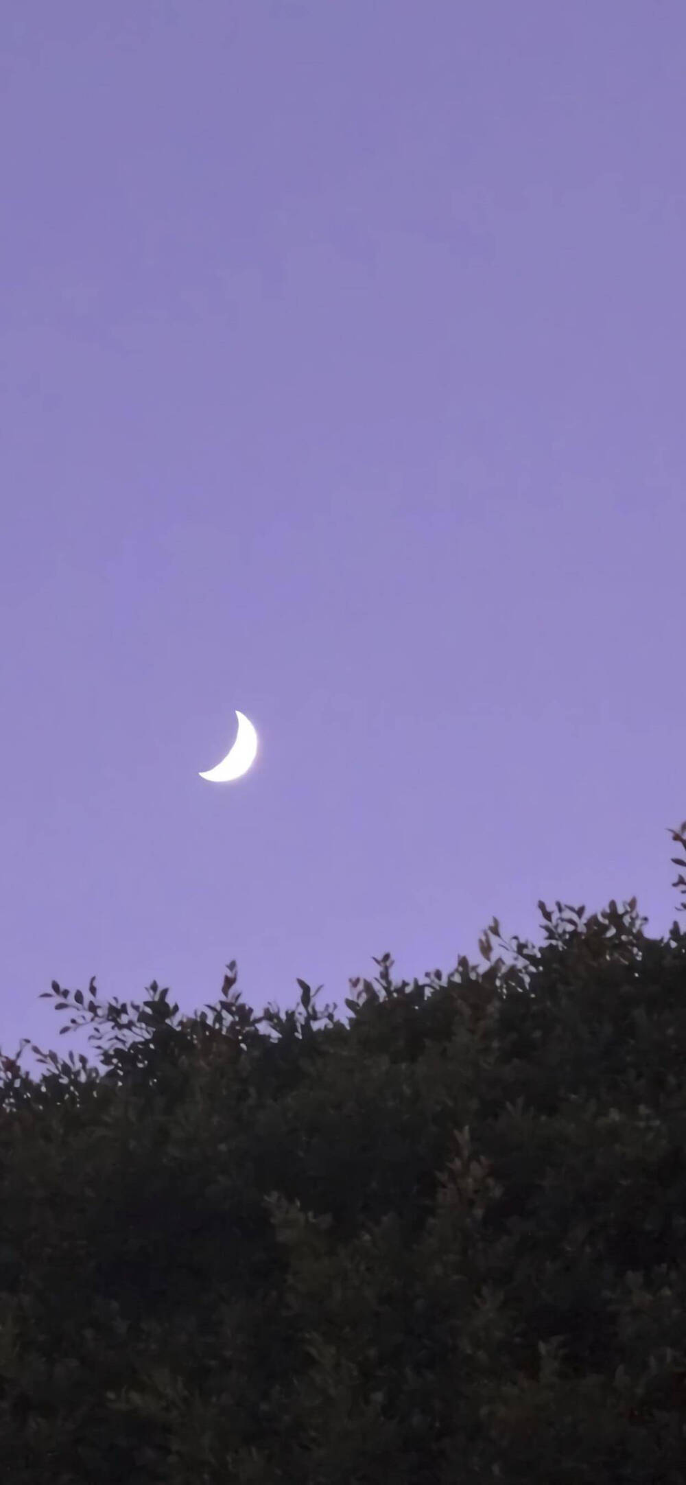 壁纸 背景 简约 - 堆糖,美图壁纸兴趣社区