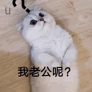 352_352gif 动态图 动图