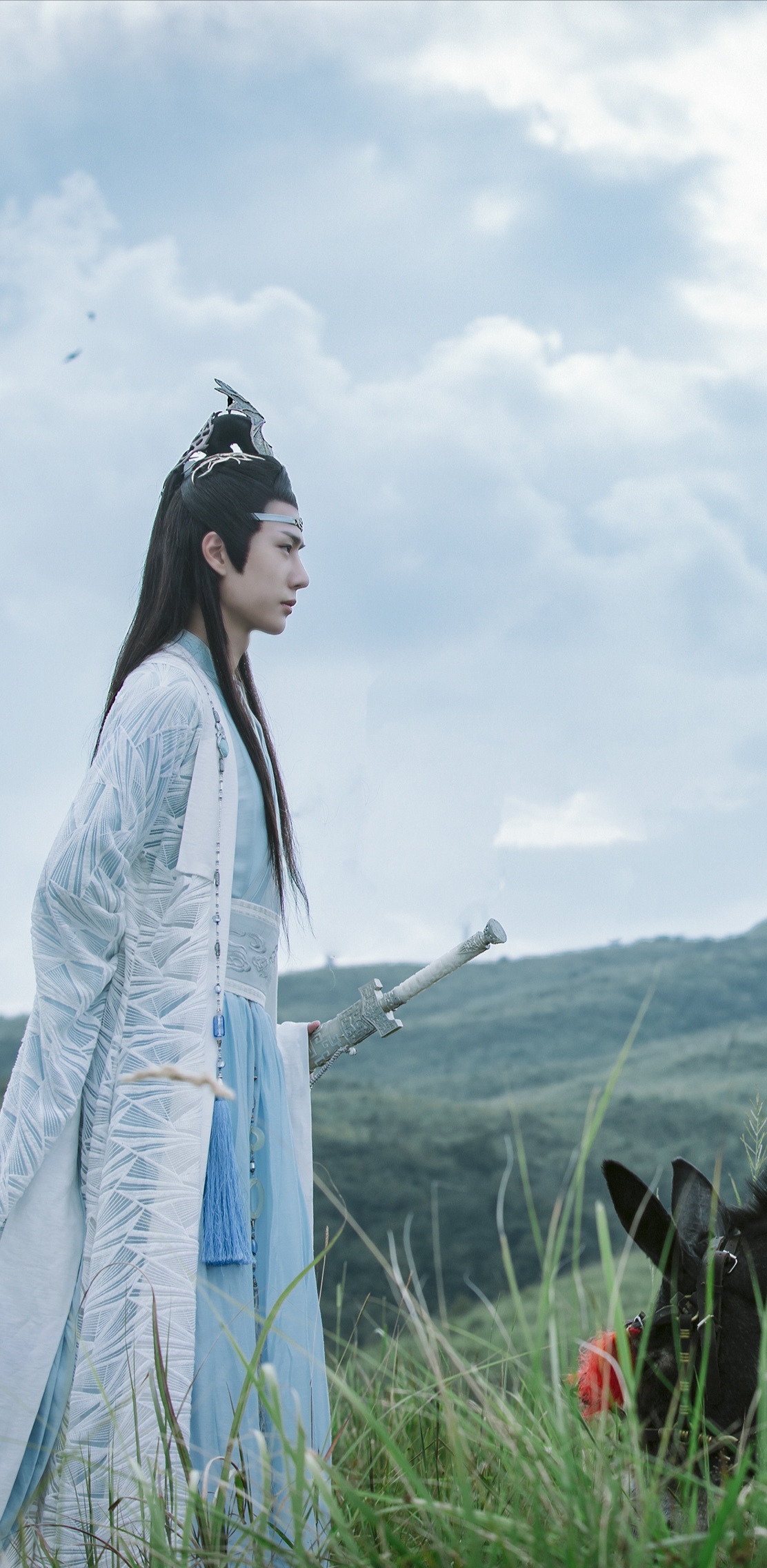 《陈情令》蓝忘机