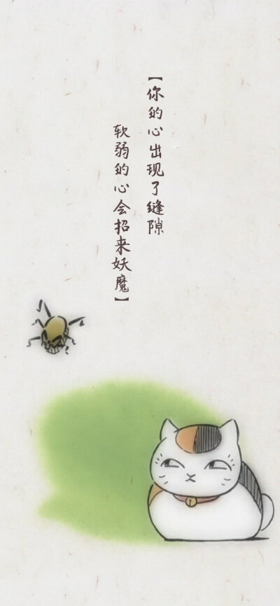 猫咪老师