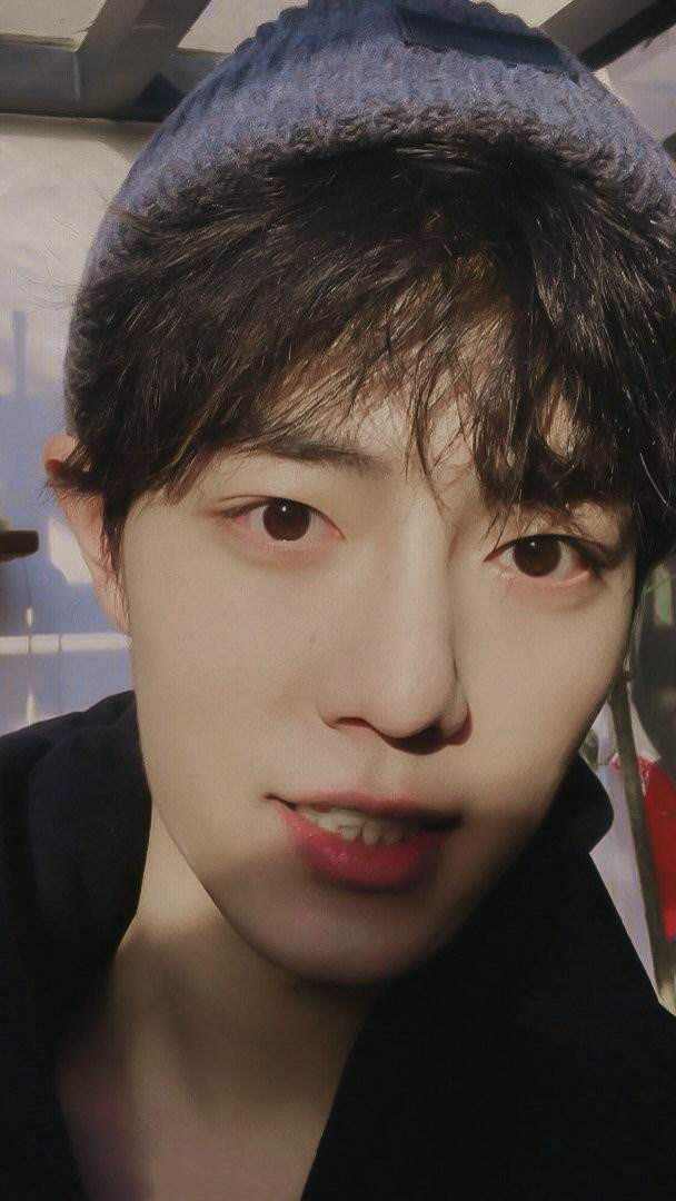 肖战 喜欢他点赞