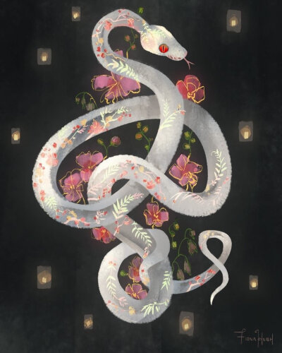 蛇尾插画图片