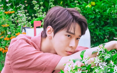 金道英 doyoung