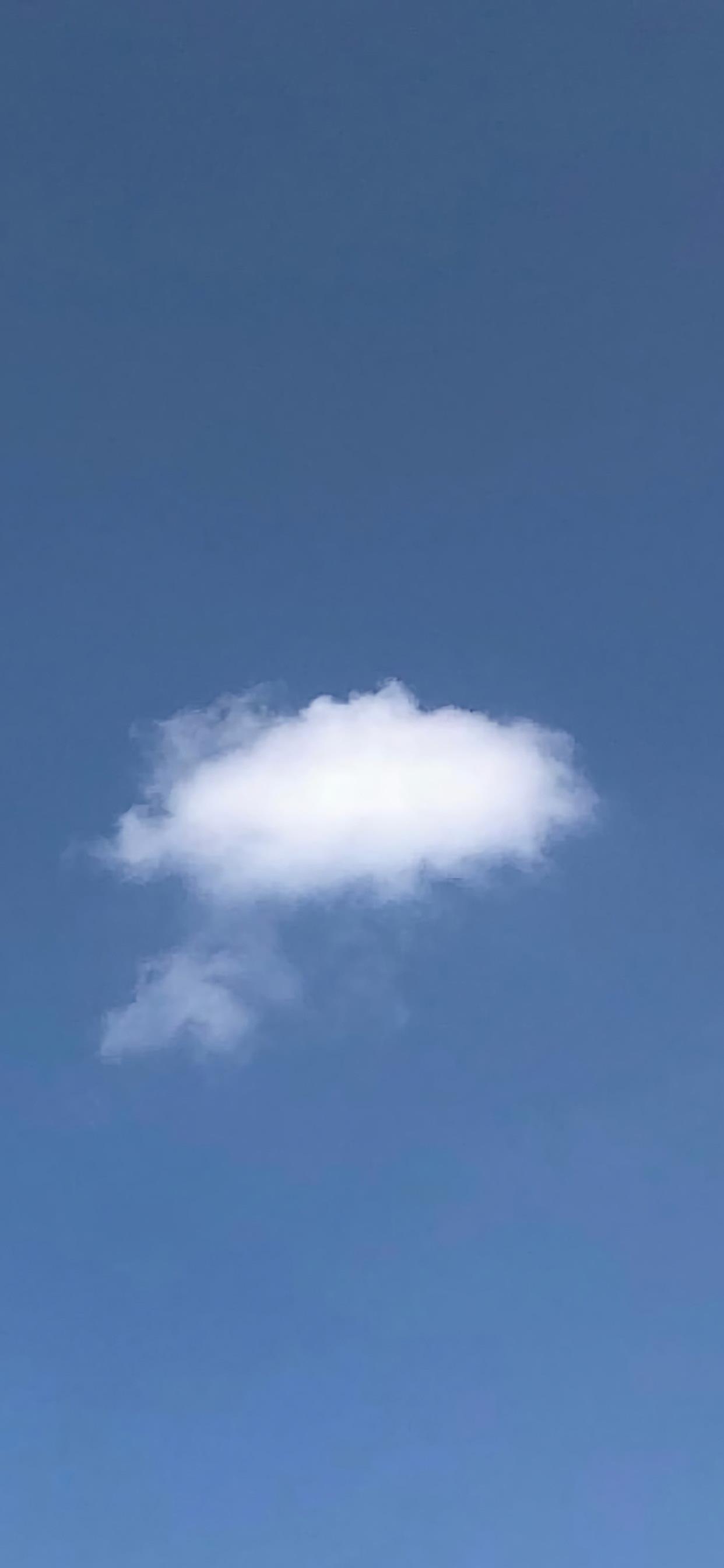 干净与可爱