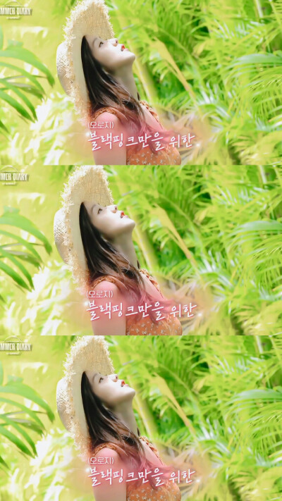 金智秀 jisoo cr.慕衫泰仙