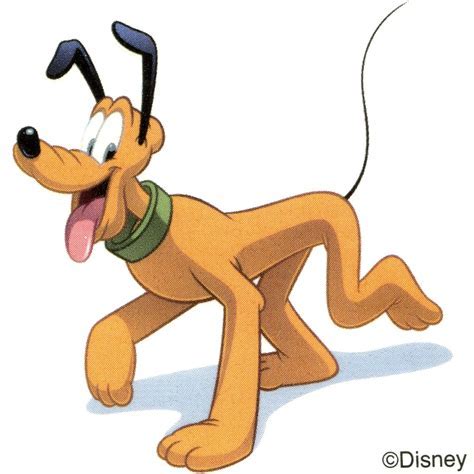 迪士尼狗狗布鲁斯图片